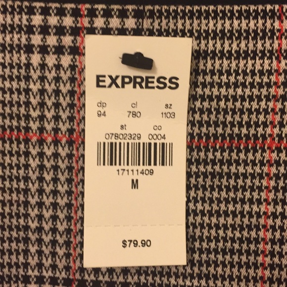 Express Dress - Picture 3 of 6